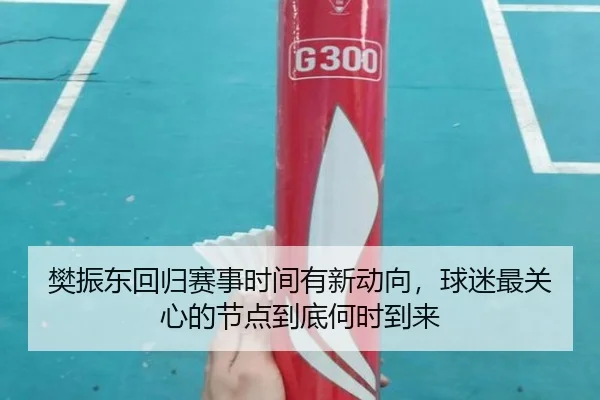 樊振东回归赛事时间有新动向，球迷最关心的节点到底何时到来